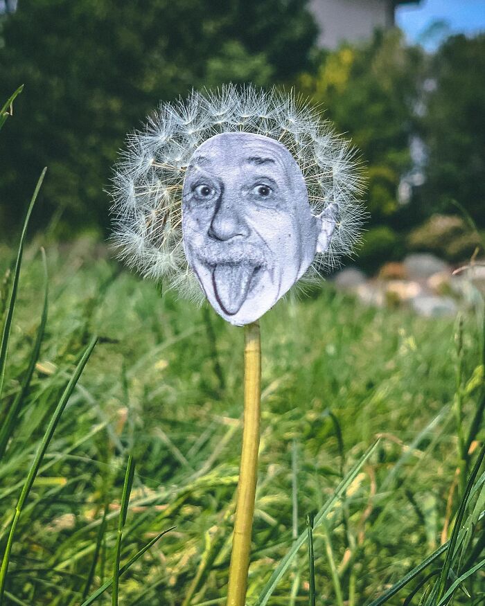 Dandelion with a paper cutout face interacting with real life grass and outdoor natural background. Dandelion with a paper cutout face interacting with real life grass and outdoor natural background.