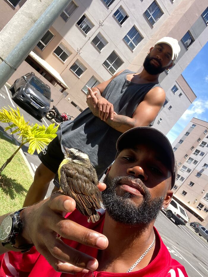 Man holding a rescued Great Kiskadee bird on his hand outside apartment buildings on a sunny day Man holding a rescued Great Kiskadee bird on his hand outside apartment buildings on a sunny day