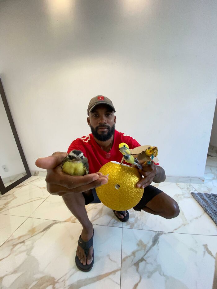 Man holding a rescued great kiskadee bird and a handmade mini bird mom crafted from cardboard and decorative materials. Man holding a rescued great kiskadee bird and a handmade mini bird mom crafted from cardboard and decorative materials.