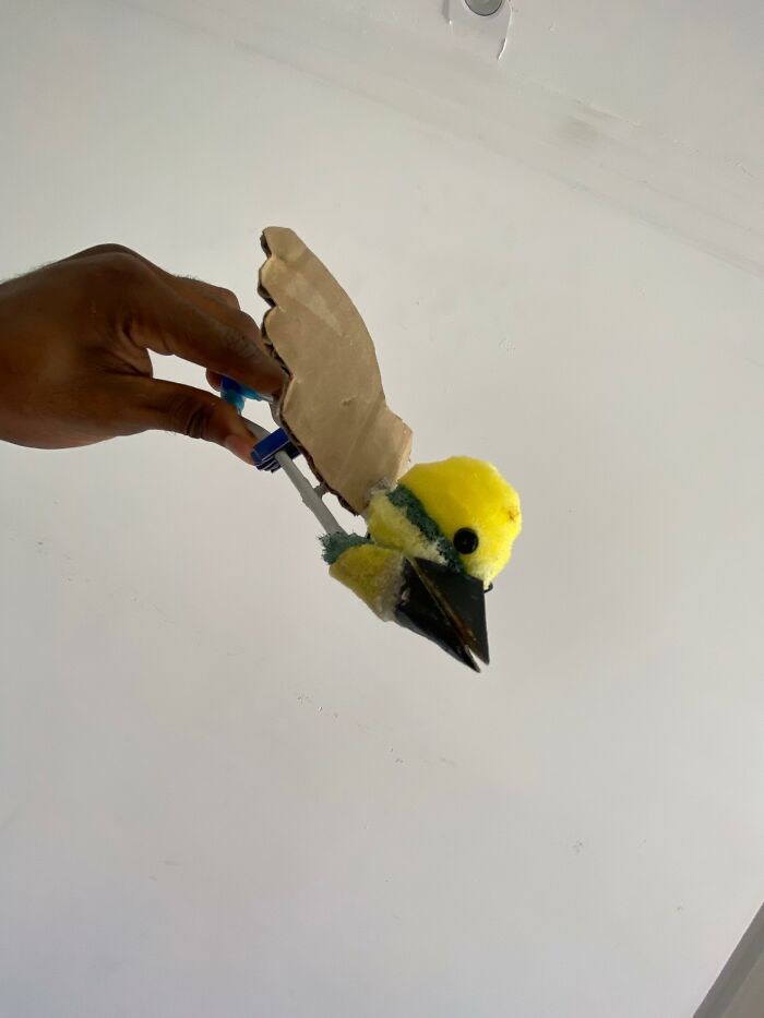 Hand holding a handmade mini bird mom crafted for a rescued great kiskadee with cardboard wings and yellow fluffy body. Hand holding a handmade mini bird mom crafted for a rescued great kiskadee with cardboard wings and yellow fluffy body.