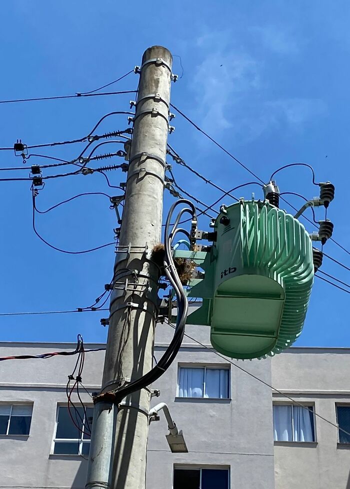 Utility pole with electrical transformer and bird nest, highlighting rescue of Great Kiskadee and mini bird mom creation. Utility pole with electrical transformer and bird nest, highlighting rescue of Great Kiskadee and mini bird mom creation.