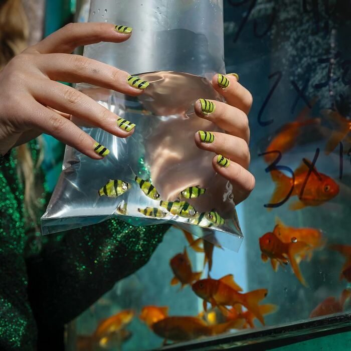Hands with yellow and black striped nails holding a bag of fish with matching yellow and black stripes, pets and humans alike.