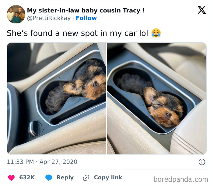 Small dog perfectly aligned inside car cup holder, showcasing a surprising and cozy fit that catches everyone’s attention.