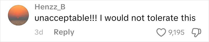 Comment on social media expressing strong disapproval with 9,195 likes, relating to a frequent traveler’s worst flight experience. Comment on social media expressing strong disapproval with 9,195 likes, relating to a frequent traveler’s worst flight experience.