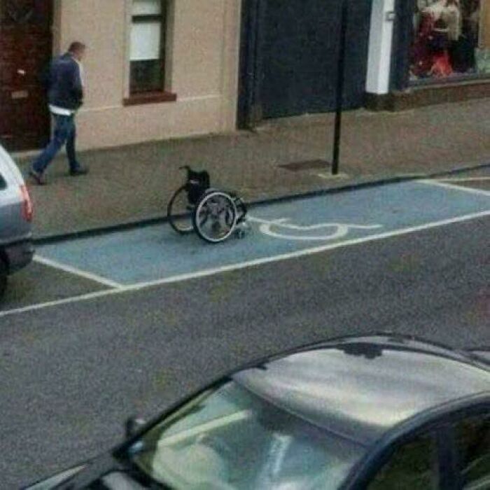 Empty wheelchair parked in a handicapped space on a city street, captured in a popular pics that go hard collection.