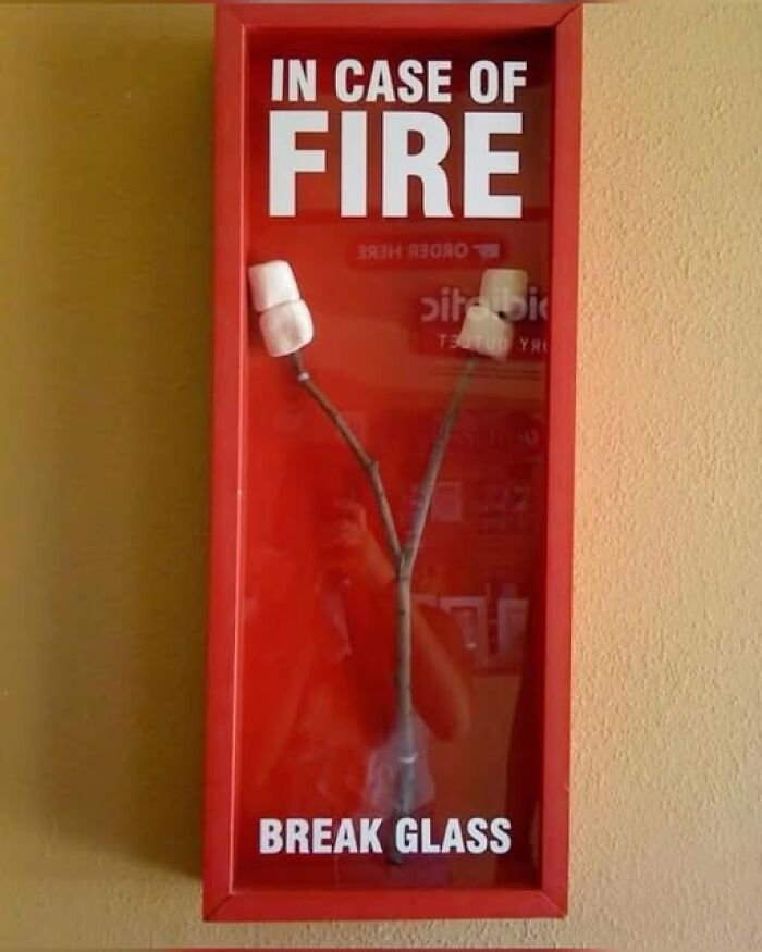 Red fire safety case with marshmallows on sticks inside, a creative pic that goes hard and grabs attention.