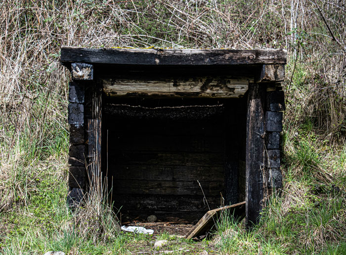 Dark, abandoned wooden entrance of an overgrown tunnel evoking creepy and terrifying urban explorer moments.