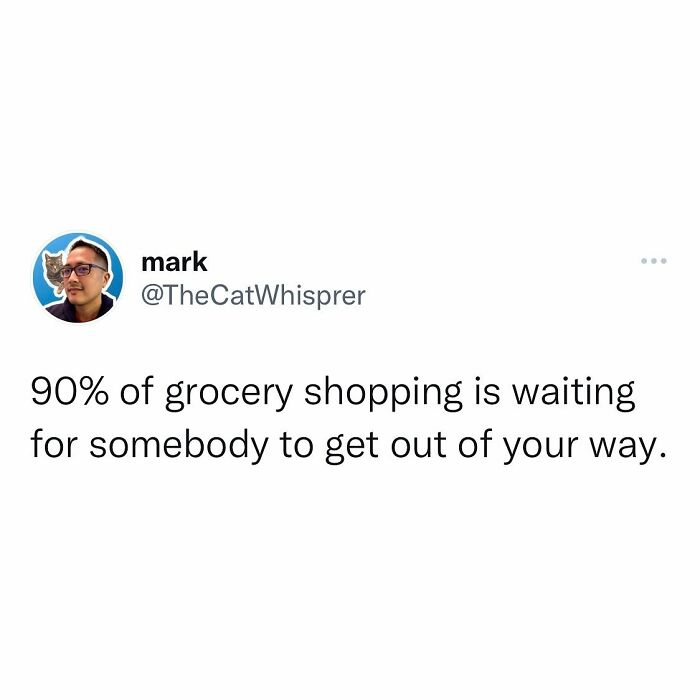 Tweet about relatable parenting and marriage humor showing frustration during grocery shopping waits.