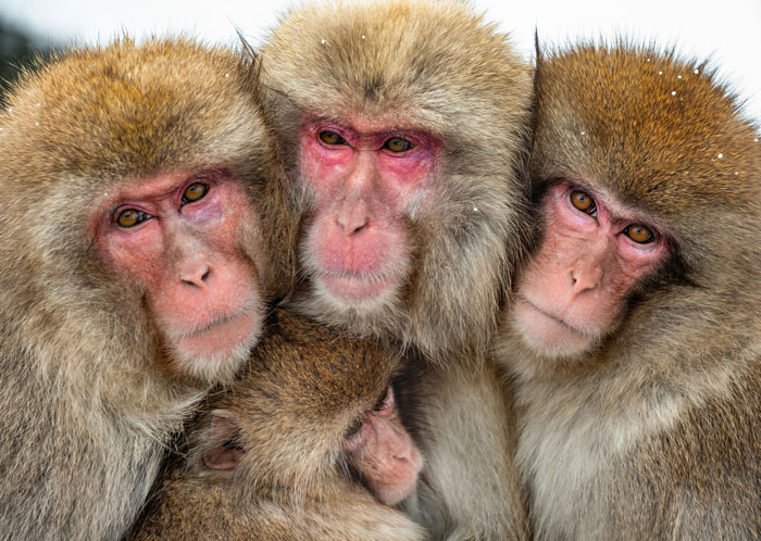 “Could Not Wear Camouflage Clothing”: 44 Of The Most Outrageous HOA Rules People Have Endured