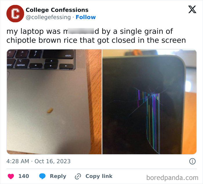 Single grain of brown rice damages laptop screen showing relatable student and young adult life meme.