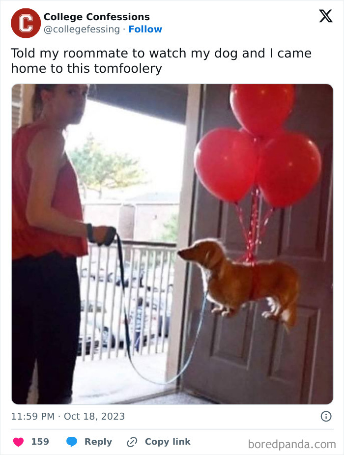 Young adult with a dog floating with red balloons outside a door, showing relatable student and young adult life humor.