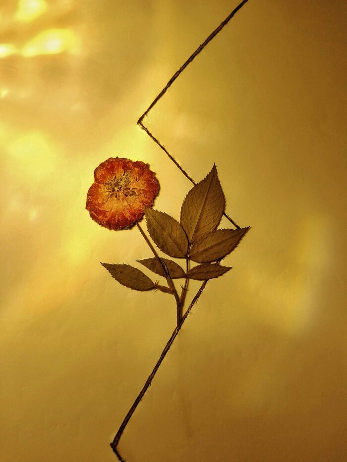 My 15 Captivating Pictures Of Independent Photography