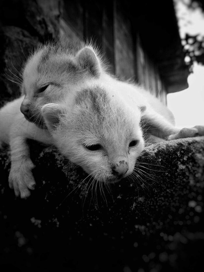 My 15 Captivating Pictures Of Independent Photography