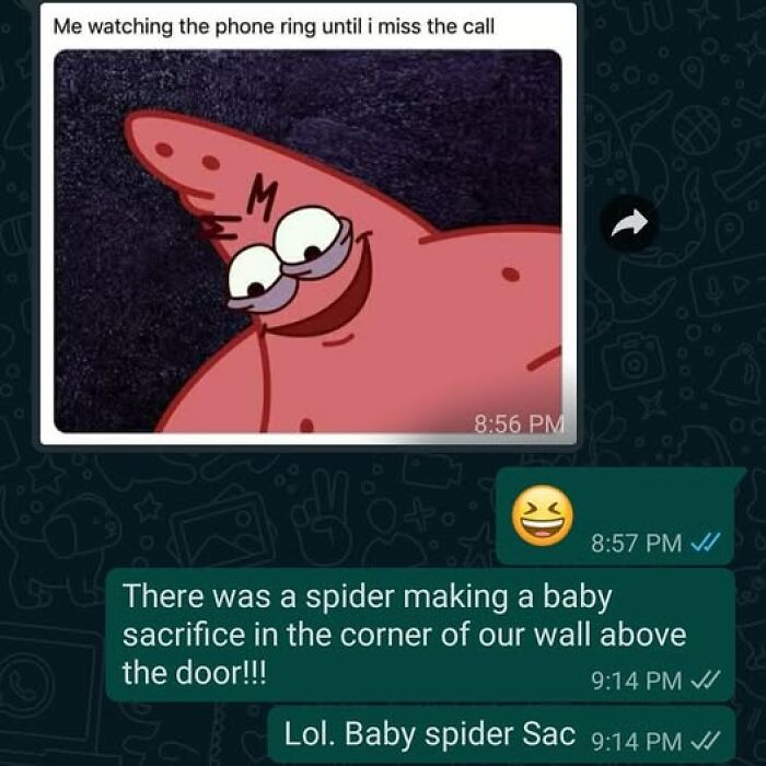 Chat conversation showing a funny autocorrect mistake about a baby spider sacrifice on a phone screen.