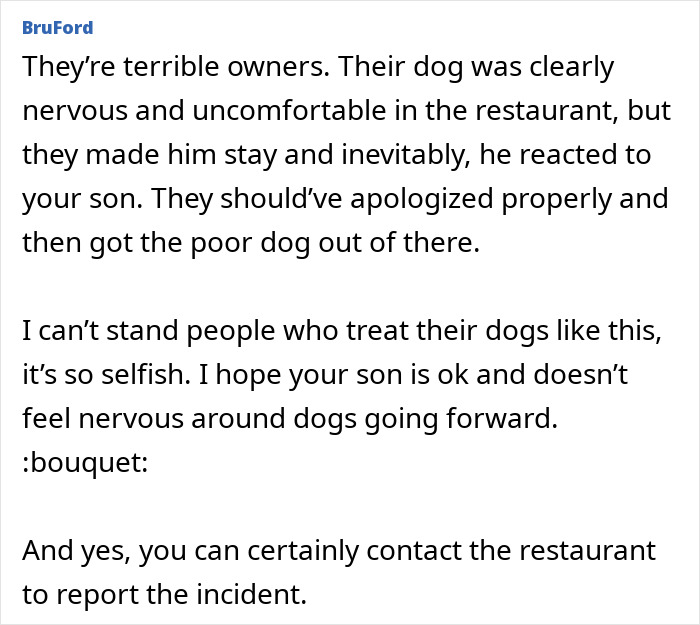 Comment discussing negligent dog owners letting their dog bite a kid and the impact on both child and dog. Comment discussing negligent dog owners letting their dog bite a kid and the impact on both child and dog.