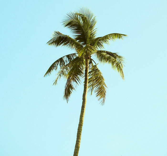 “Could Not Wear Camouflage Clothing”: 44 Of The Most Outrageous HOA Rules People Have Endured