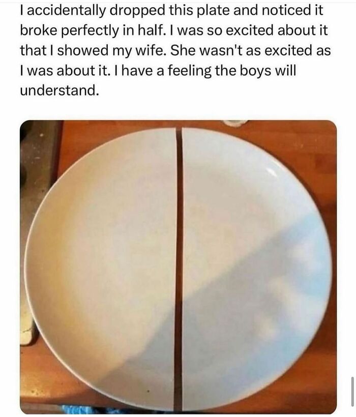 White plate broken perfectly in half, sharing a funny moment that makes life feel just a little lighter.