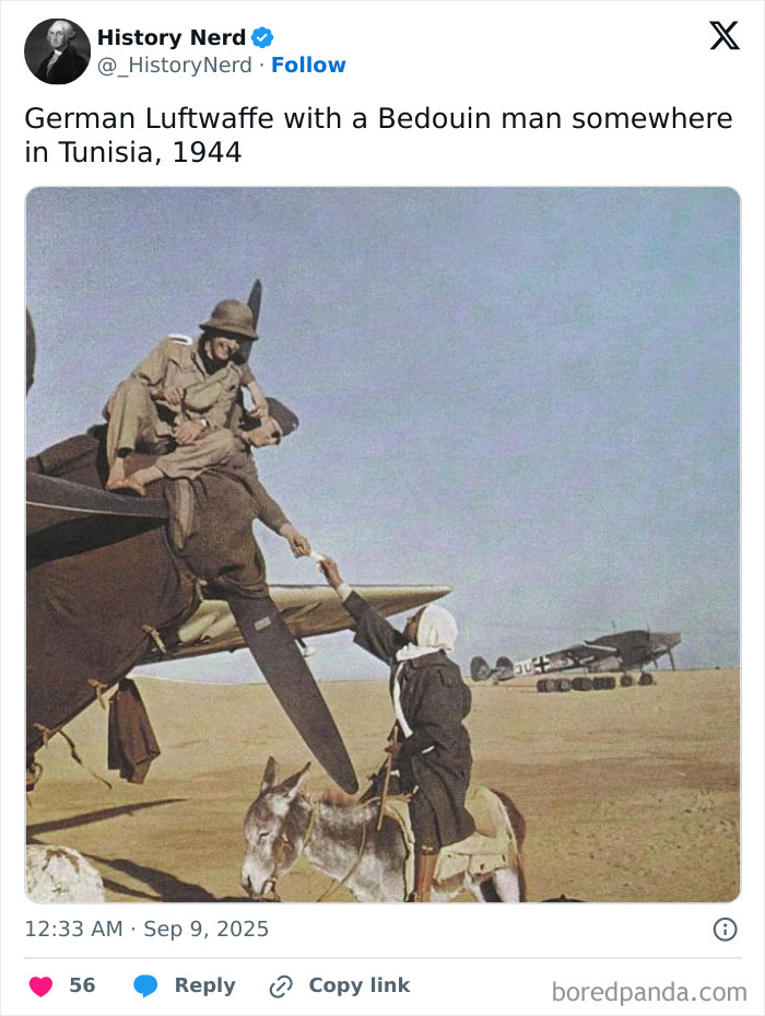 German Luftwaffe soldier and Bedouin man exchanging greetings by a plane in Tunisia, rare and powerful history photo.
