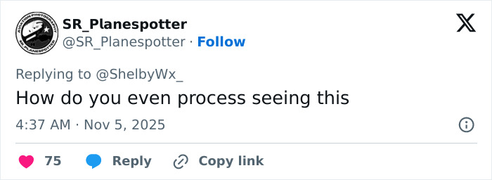 Twitter post by SR_Planespotter expressing shock at harrowing new footage of terrifying UPS plane crash with multiple casualties. Twitter post by SR_Planespotter expressing shock at harrowing new footage of terrifying UPS plane crash with multiple casualties.