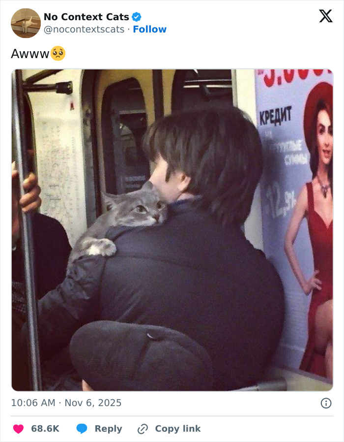 Man wearing black jacket holding a gray cat on his shoulder inside a public transport, no context cats moment.
