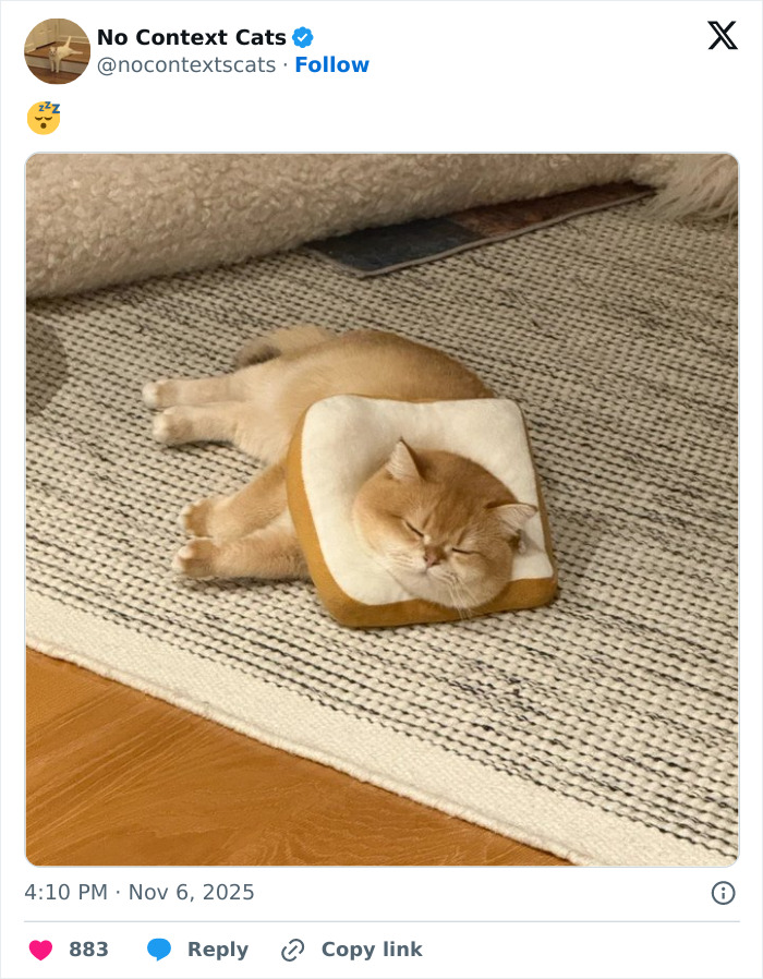 Orange cat lying on a textured rug with its head inside a bread-shaped cushion in a cozy indoor setting.