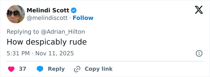 Tweet by Melindi Scott replying to Adrian Hilton, expressing strong criticism with the phrase how despicably rude. Tweet by Melindi Scott replying to Adrian Hilton, expressing strong criticism with the phrase how despicably rude.