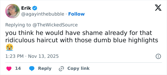 Screenshot of a tweet replying to backlash faced by fan who attacked Ariana Grande at premiere, referencing hairstyle criticism. Screenshot of a tweet replying to backlash faced by fan who attacked Ariana Grande at premiere, referencing hairstyle criticism.