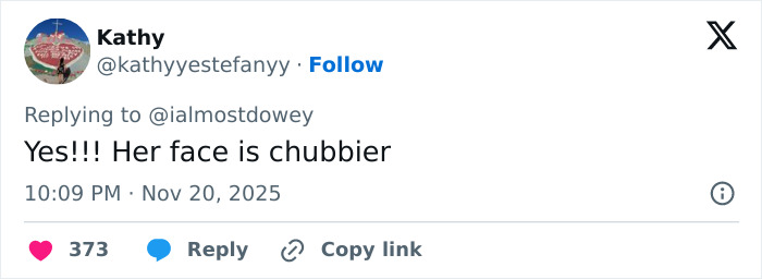 User comment mentioning Zendaya's face looks chubbier, sparking pregnancy rumors with Tom Holland in a social media post.