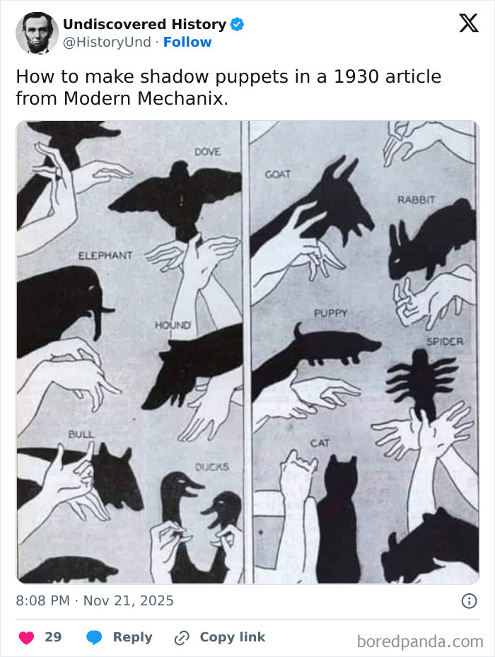 Hands creating shadow puppets of various animals in a vintage 1930s guide, a fascinating photo revealing moments lost to time.