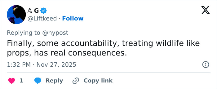 Screenshot of a tweet discussing accountability after an influencer snatched a baby wombat on camera and got arrested. Screenshot of a tweet discussing accountability after an influencer snatched a baby wombat on camera and got arrested.