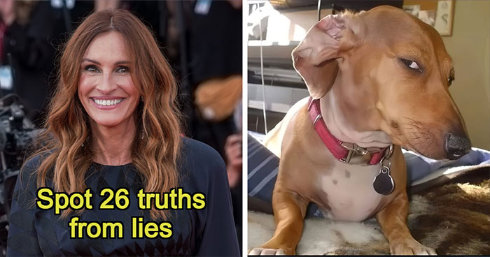 2 Truths And A Big Fat Lie: Prove You Can Separate The True Facts From The Fake Ones