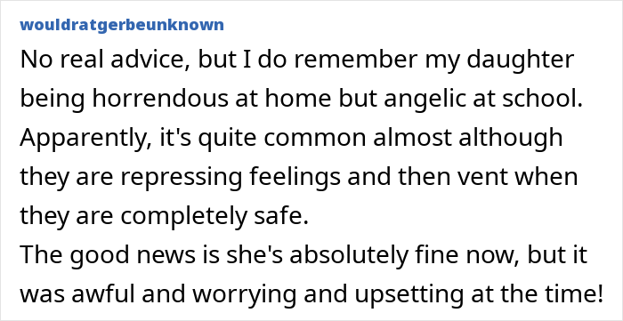 Comment discussing how kids act differently at home versus school, addressing concerns about behavior and feelings.