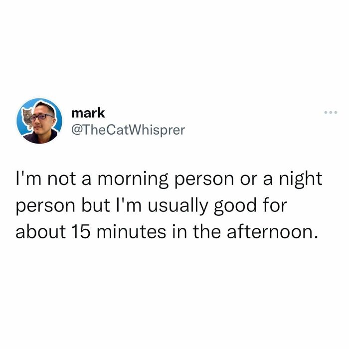 Tweet about not being a morning or night person, relatable to parenting and marriage humor shared online.
