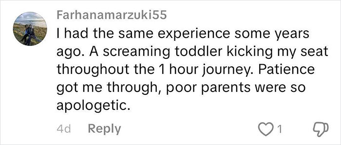 Comment describing a frequent traveler’s experience with a screaming toddler kicking his seat during a flight journey. Comment describing a frequent traveler’s experience with a screaming toddler kicking his seat during a flight journey.
