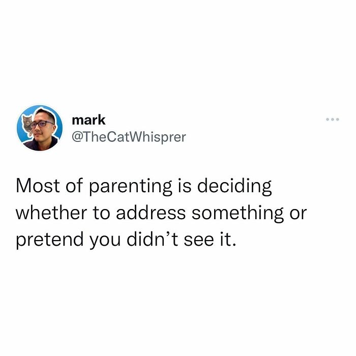 Tweet about parenting humor, highlighting relatable moments of deciding to address or ignore situations.