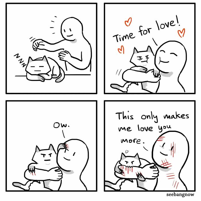 Comic strip showing an honest, dramatic cat scratching its owner while being absolutely unbothered.