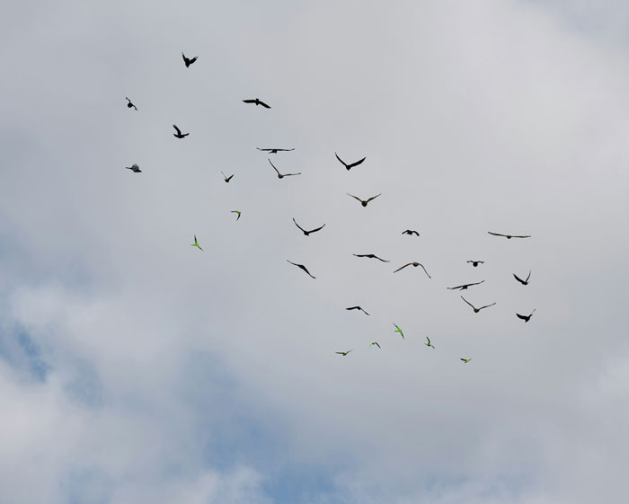 34 Pilots Share The Scariest Moments They Survived While Passengers Stayed Blissfully Unaware