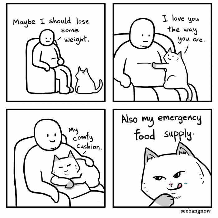 Comic panels featuring an honest and dramatic cat comforting its owner and showing an unbothered attitude.