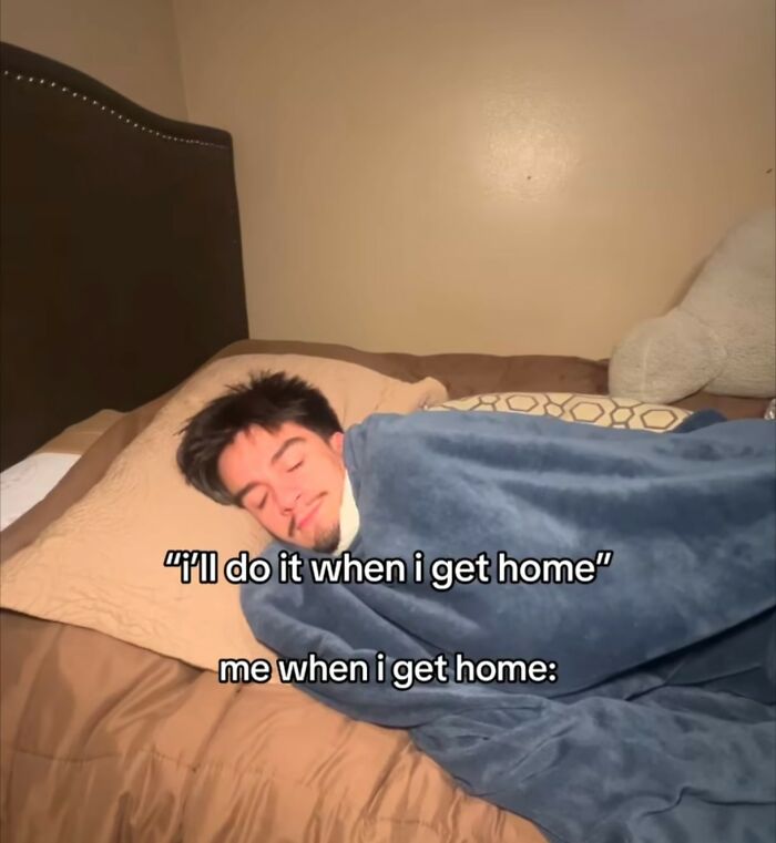 Young man wrapped in a blue blanket sleeping in bed, humorously illustrating hilarious educational memes about procrastination.