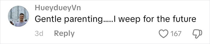 Comment from user HueydueyVn about gentle parenting and emotional response seen in a social media post. Comment from user HueydueyVn about gentle parenting and emotional response seen in a social media post.