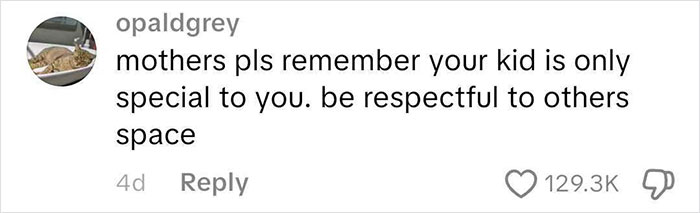Comment on social media advising mothers to respect others' space as their kid is only special to them, highlighting frequent traveler experience. Comment on social media advising mothers to respect others' space as their kid is only special to them, highlighting frequent traveler experience.