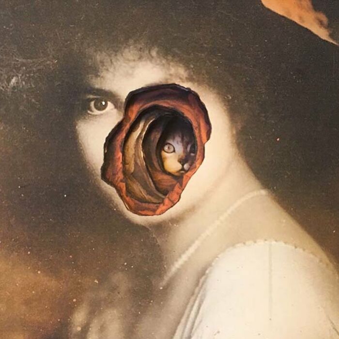 Surreal intricate collage of a vintage portrait with a torn face revealing a cat inside, blending art and mystery.