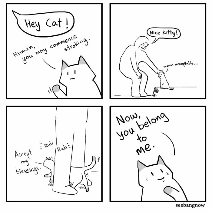 Comic panels featuring an honest, dramatic cat who is unbothered and interacts amusingly with a human.