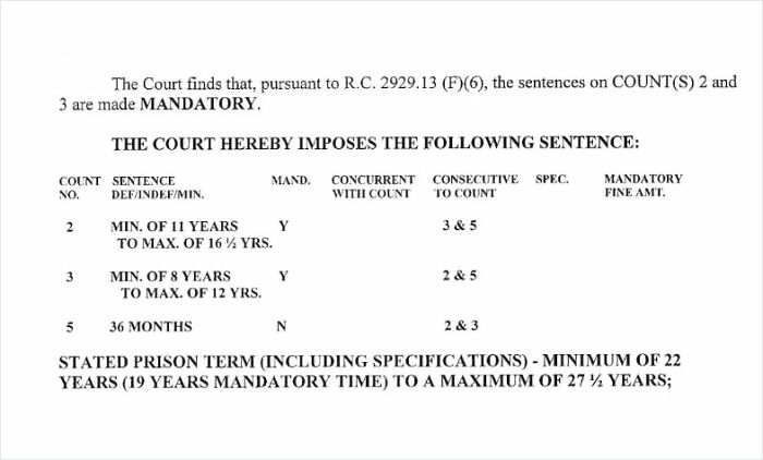 Court document showing mandatory prison sentences and terms related to man leaving 2-year-old daughter in burning car after crash.