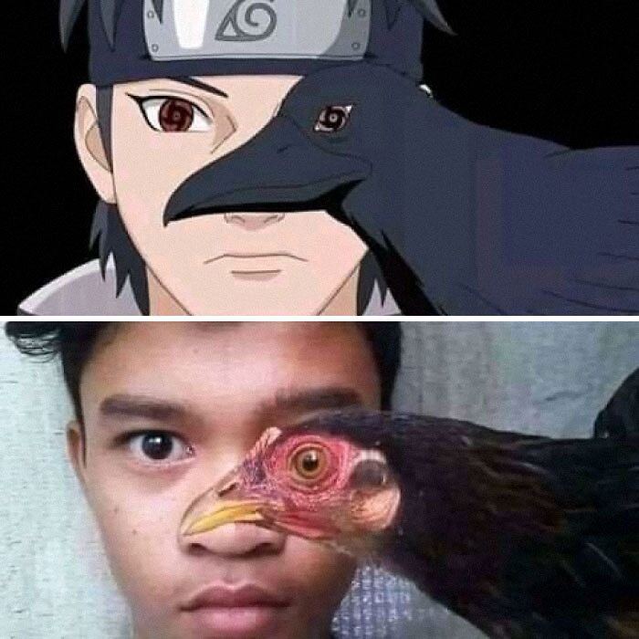 Two images showing a close face alignment between a person and a bird, featured in popular hard-hitting pics online.