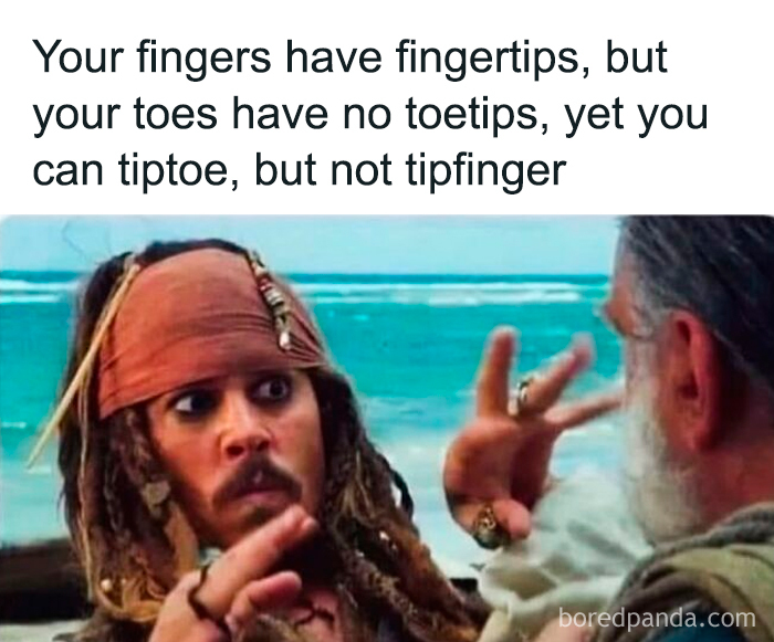 Funny meme about fingertips and toes featuring a surprised pirate character, illustrating a humorous observation.