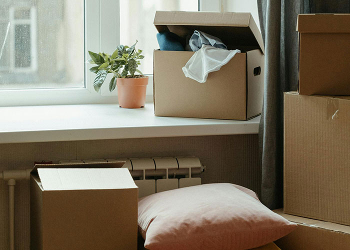 Cardboard boxes and a potted plant on a windowsill, illustrating life hacks for organized home packing and storage.