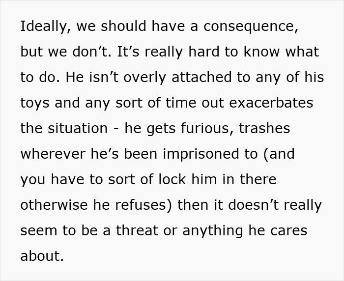 Alt text: Text discussing challenges with kids acting out and difficulty deciding on consequences for behavior issues.