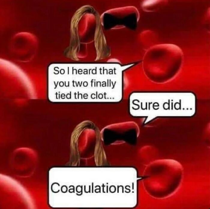 Red blood cells with faces and speech bubbles sharing a funny pun about clotting in hilarious educational memes style.
