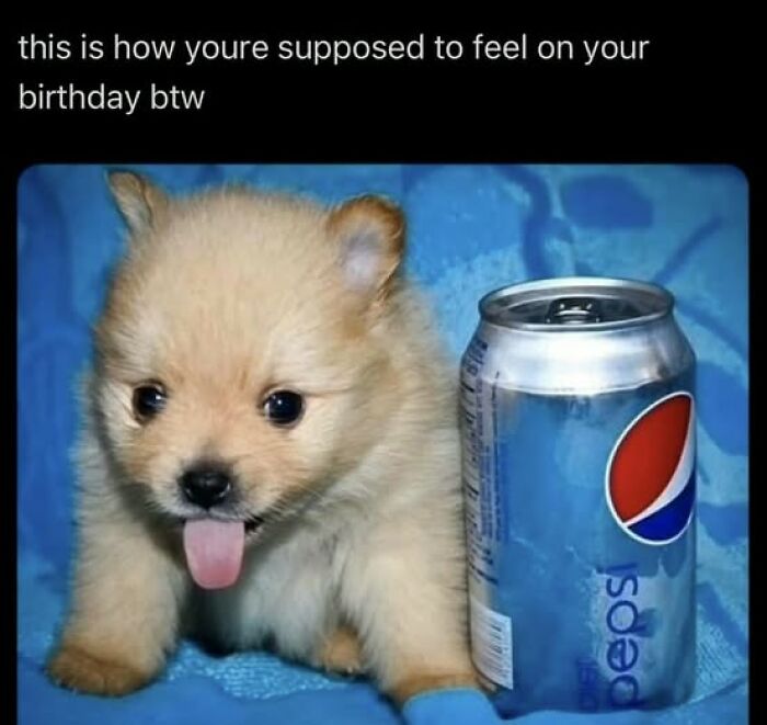 Cute puppy sticking out tongue next to a soda can, representing how you're supposed to feel on your birthday, hard pics.